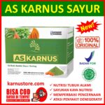 As Karnus Original – Alga Sayur Karnus – Memenuhi Kebutuhan Fitosterol